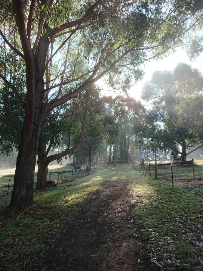 Carinya Park