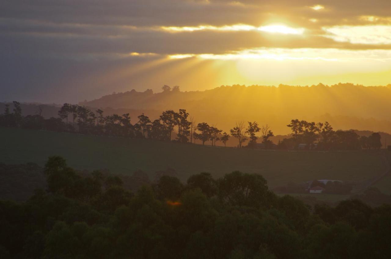 Carinya Park Farm stay